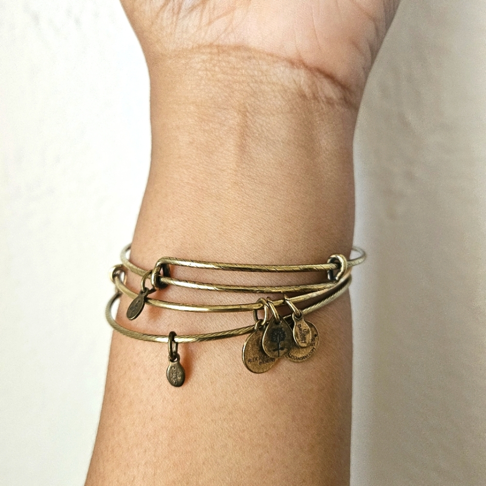 Alex & Ani Set of 3 Bangles